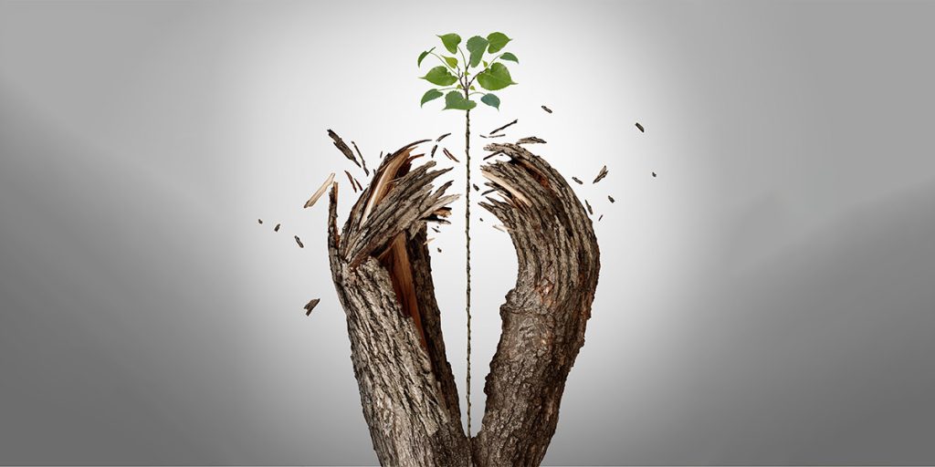 Breakthrough Leadership 3 Types Of Change - Tree Branch Breaking