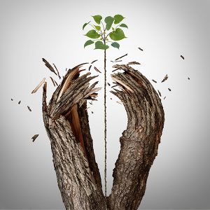 Breakthrough Leadership 3 Types Of Change - Tree Branch Breaking