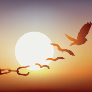 Emotional Transformation Birds Breaking Free