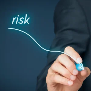 Risk Management for CEOs
