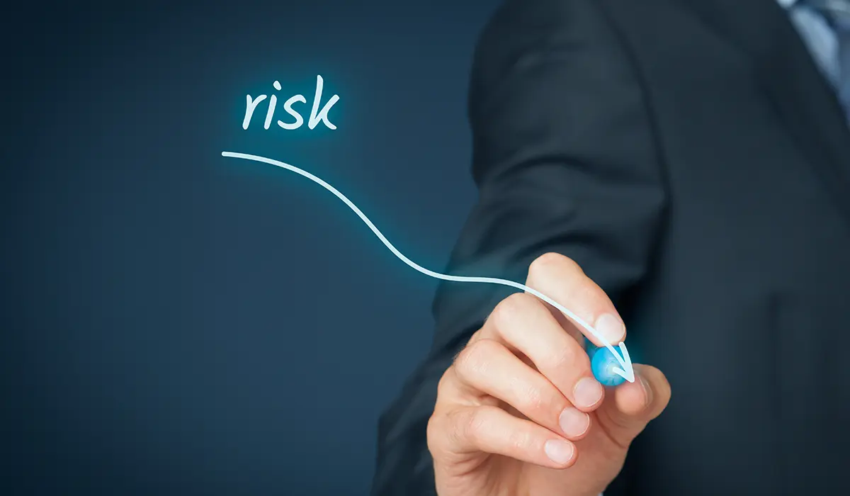 Risk Management for CEOs